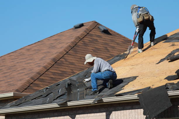 Best Metal Roofing Installation  in Louisville, GA